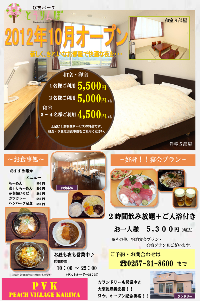 チラシ20121219