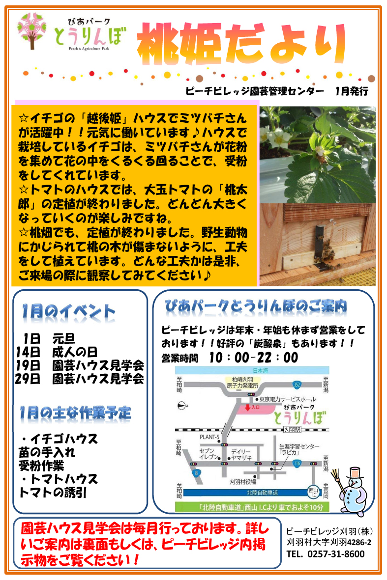 桃姫だより2013.1