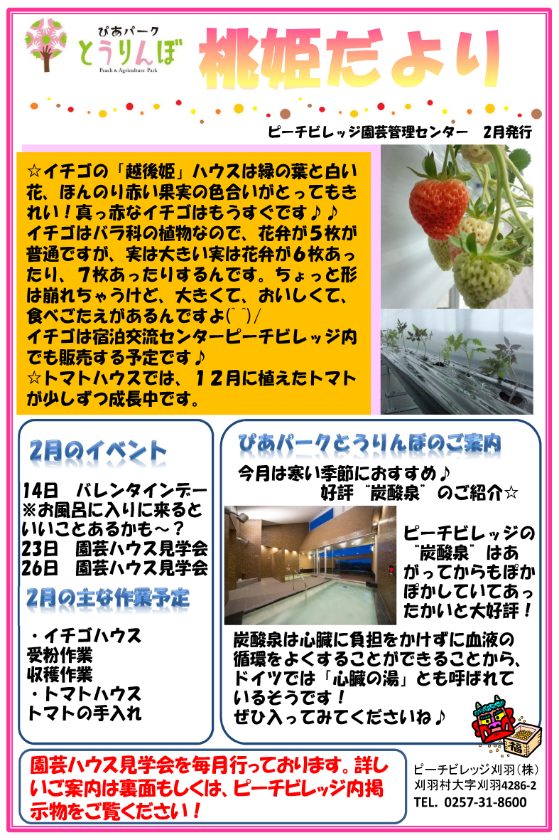 桃姫だより2013.2