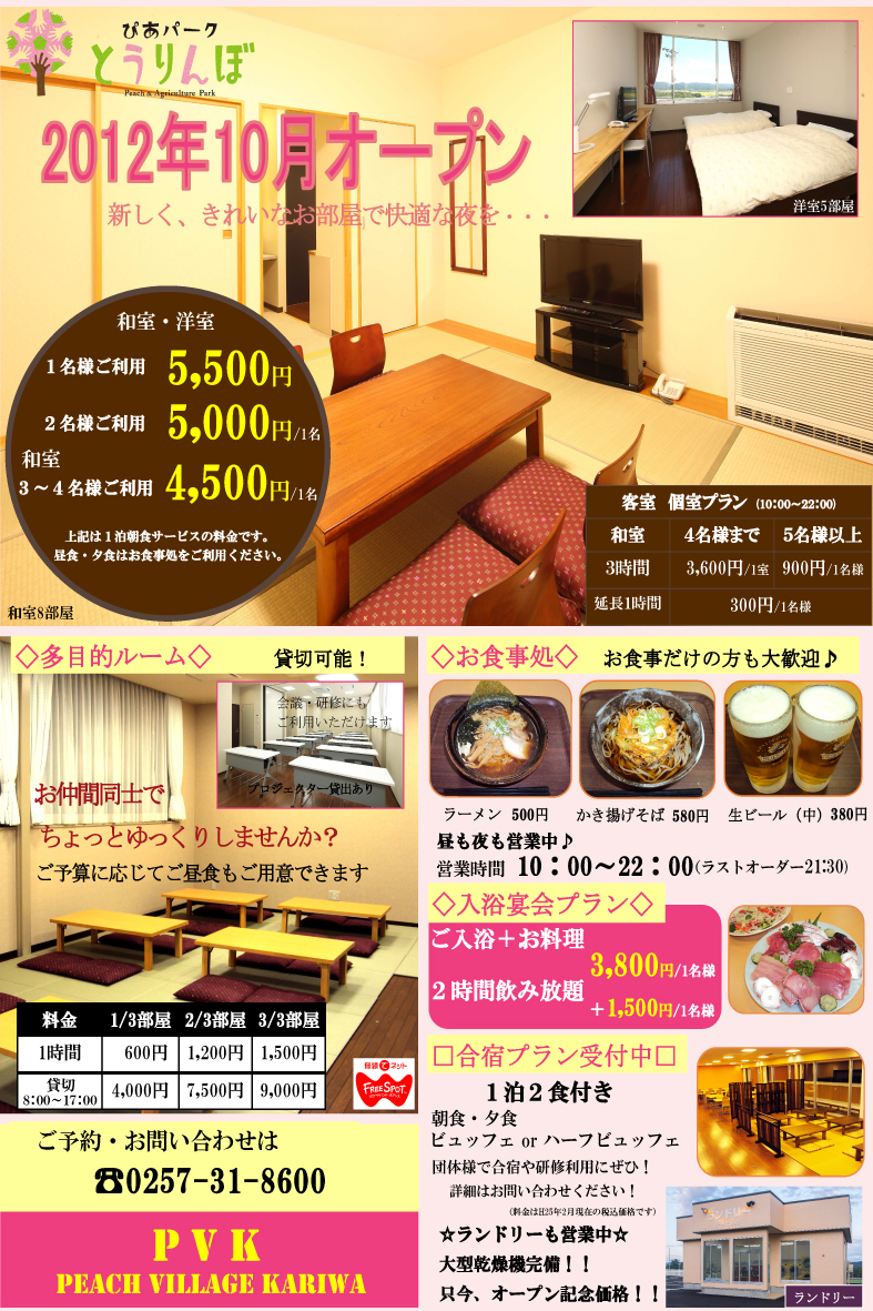 チラシ2013222