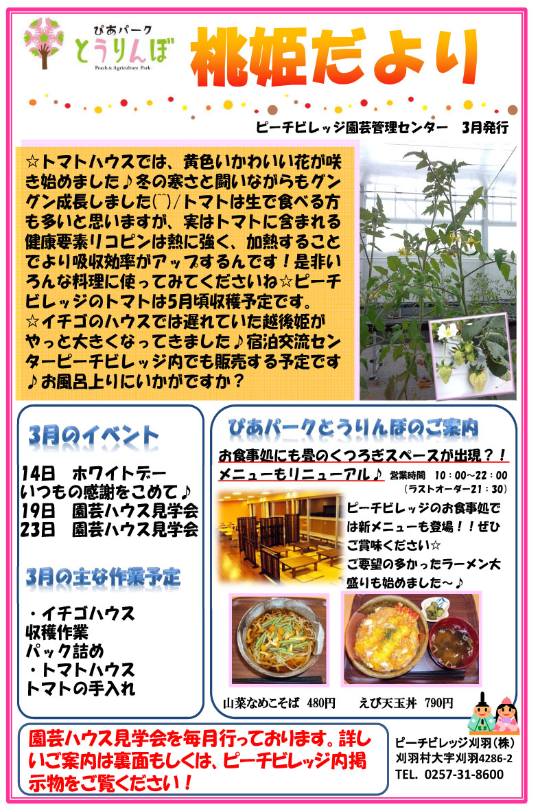 桃姫だより2013.3