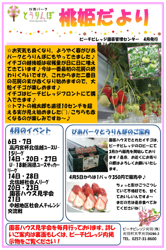 桃姫だより2013.4
