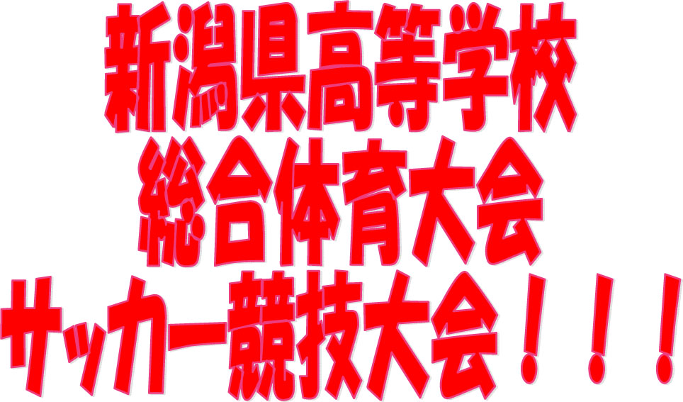 新潟県高等学校総合体育大会サッカー競技大会