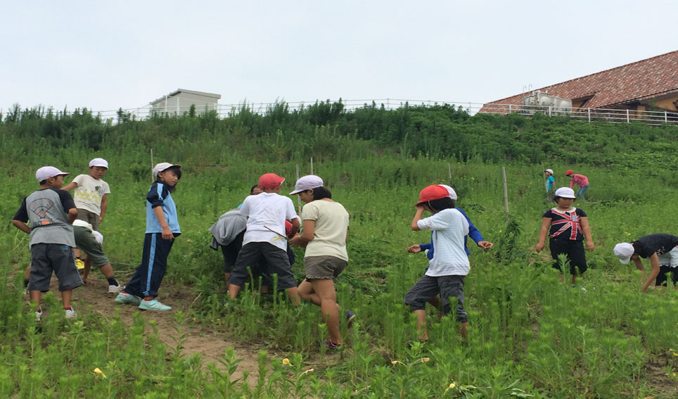 刈羽小学校農業体験