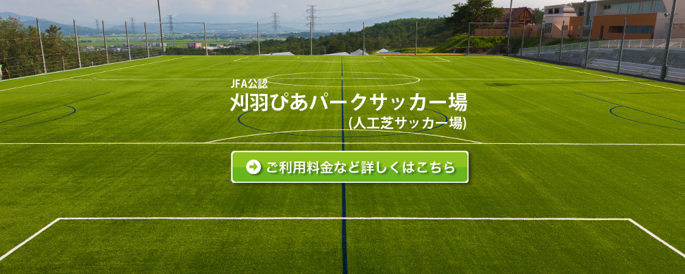 刈羽ぴあパークサッカー場